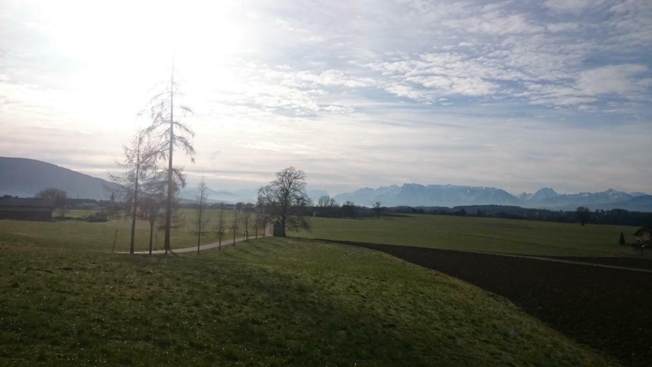 Ferienwohnung An Der Idyllischen Salzachschleife Naehe Salzburg Laufen Exteriér fotografie